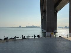 -中澳友谊花园
