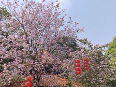 -南海神庙