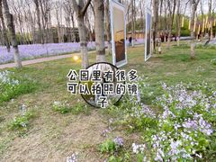 -将府公园