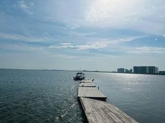 -碧海金沙