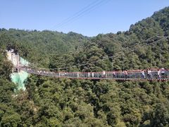 玻璃桥-九龙江国家森林公园