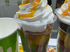 -Salud撒露欧洲冻酸奶(北苑上品店)