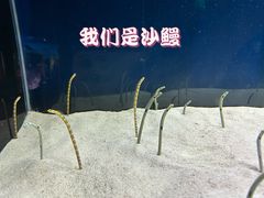 -欢乐海岸海洋奇梦馆