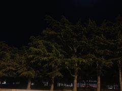 -大连人民广场