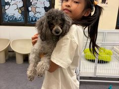 -有喵·猫咖·狗咖·40+猫狗有小奶狗(岗厦店)