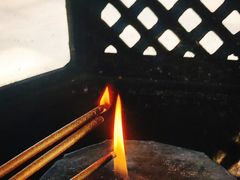 -呼兰河口湿地公园