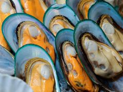 青口-OPEN開全日自助餐厅·牛肉火锅·海鲜(佛山希尔顿酒店)