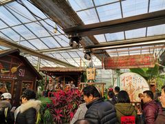 -呀路古热带植物园