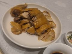 白切本鸡-群乐饭店(滨安路店)