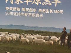 -巴奴毛肚火锅(大剧院店)