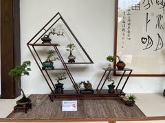 -郭庄景区