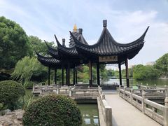 -红梅公园