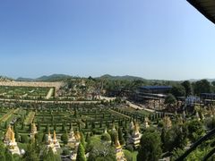 -东芭乐园