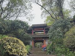 -中国茶叶博物馆(双峰馆区)