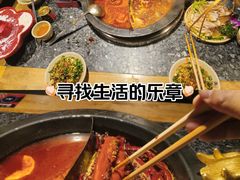 -蜀大侠火锅(总府路店)