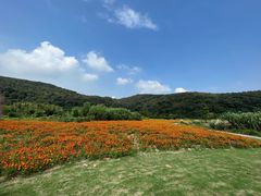 -南北湖风景区