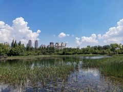 -群力丁香公园