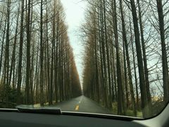 -滨海高尔夫俱乐部