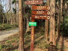-东平国家森林公园