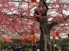 -老磨油饼(高陵店)
