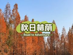 -济南植物园