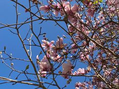 -广州市流溪河国家森林公园