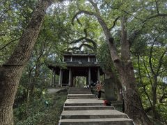 -蒋氏故居