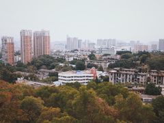 -梅峰山地公园