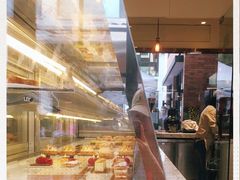 -Madeleine玛德琳(永平里店)