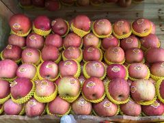 -上海龙吴水胜海发市场