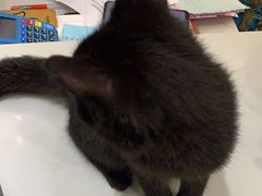 -派特宠物医院(圆融广场店)