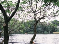 -东山湖公园