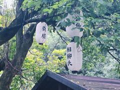-白马涧龙池景区