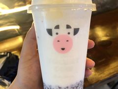 -一只酸奶牛(八一路店)