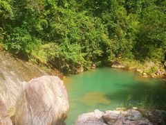 -广州白江湖森林公园