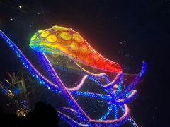 -海合安成都极地海洋公园