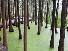 -云龙湖旅游景区