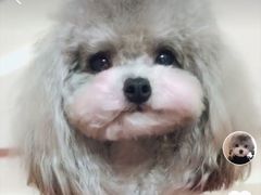 -陈记柳州螺蛳粉(大坪店)