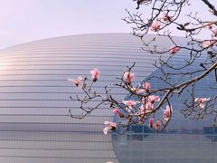 -国家大剧院