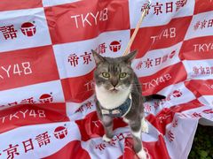 -帝京日语(春熙路旗舰校区)
