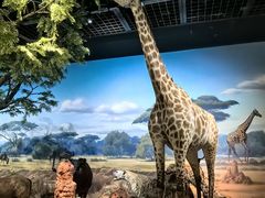 -陕西自然博物馆