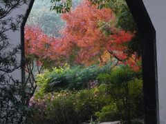 -汇龙潭