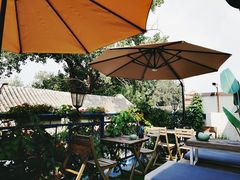 -Sirena海妖日咖夜酒