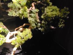 -臻享养生·SPA·影院式足道(汇臻店)