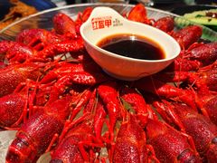 经典冰镇龙虾-红盔甲·小龙虾(天钥桥店)