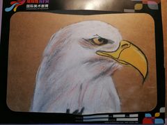 -缤纷鸟美术书法(建大校区)