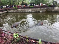 -合肥野生动物园