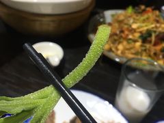 沙拉冰草-凤凰山斑鱼馆(恭城店)