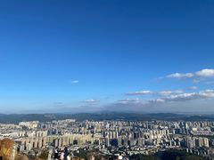 -长虫山生态公园风景林
