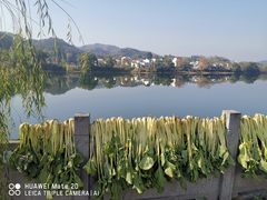 -新安江山水画廊风景区